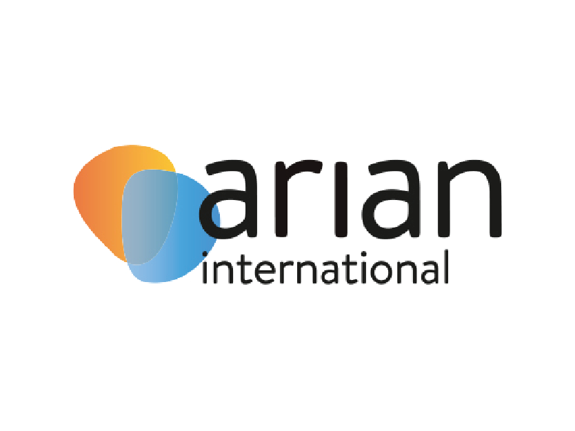 ARIAN INTERNATIONAL PROJECTS